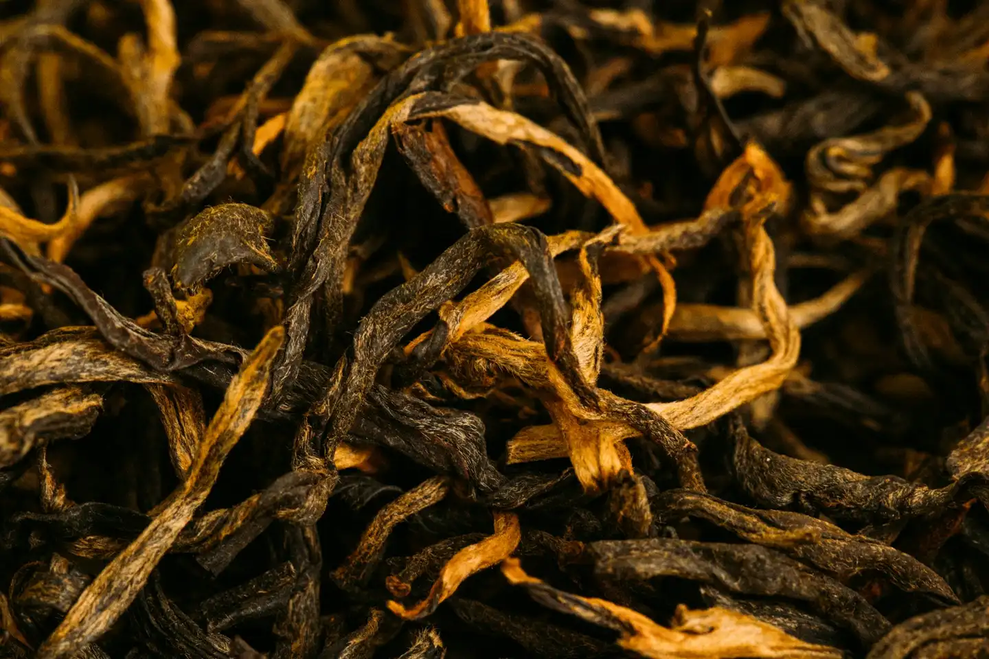 Close-up of long, twisted dry tea leaves, dark brown with golden downy tips, filling the frame.