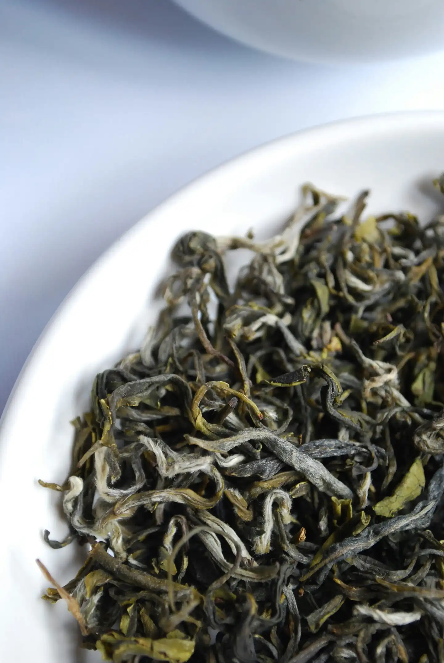 Twisted dry tea leaves in dark green with silvery downy tips, heaped in a white bowl.